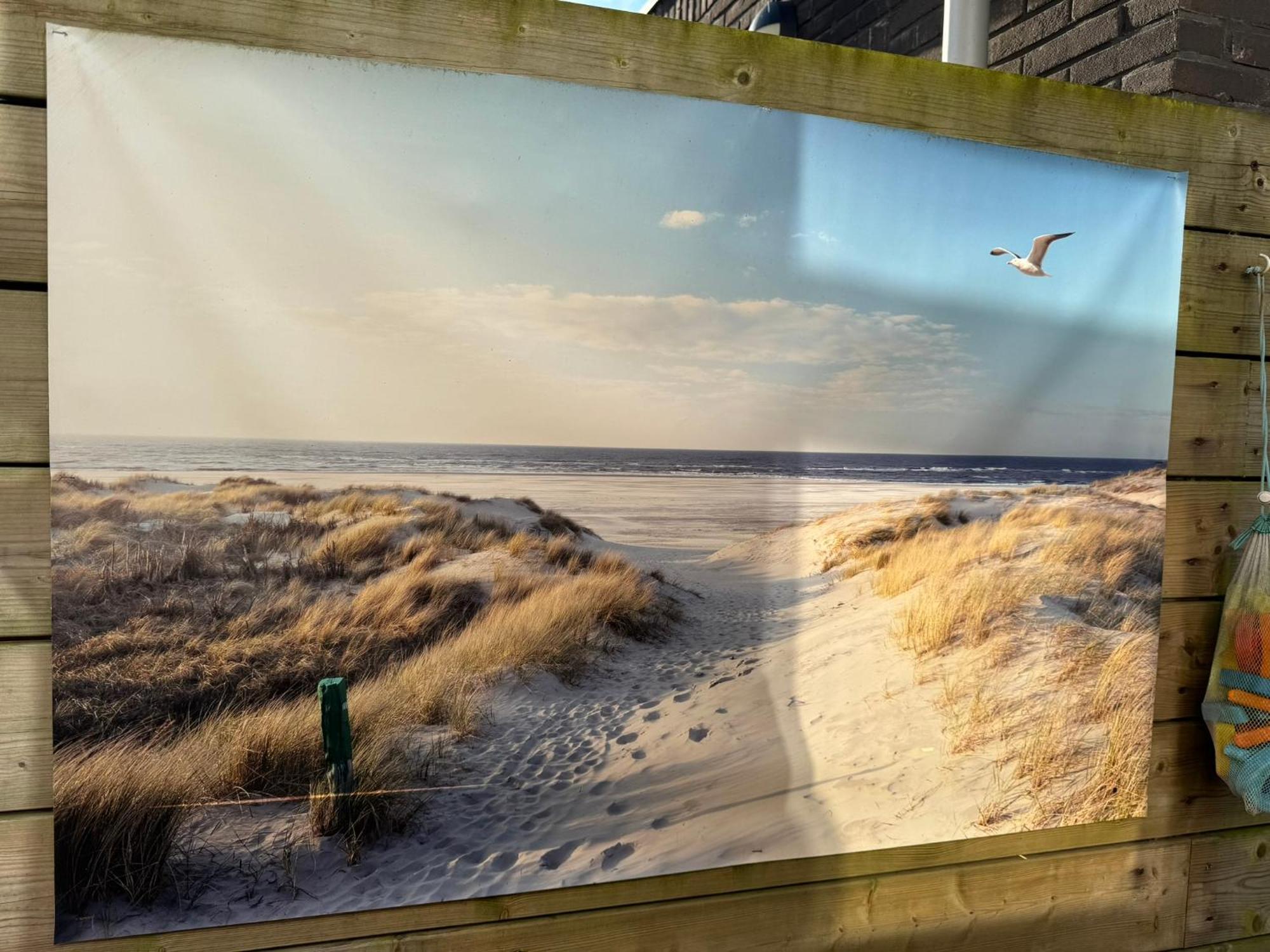 Coastal Dreaming Villa Egmond aan Zee Kültér fotó